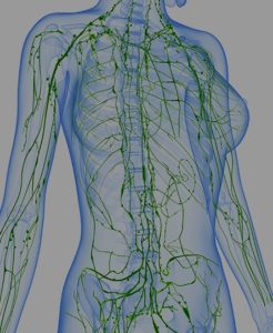 Lymph Purify - Cove Wellness Spa